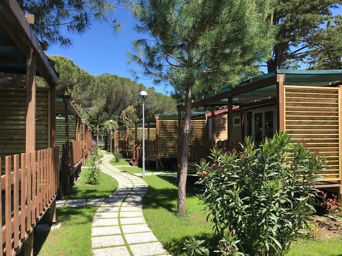 Holiday Home Ponente 6 By Interhome Marina Di Bibbona Italy